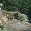 Dumbarton Oaks